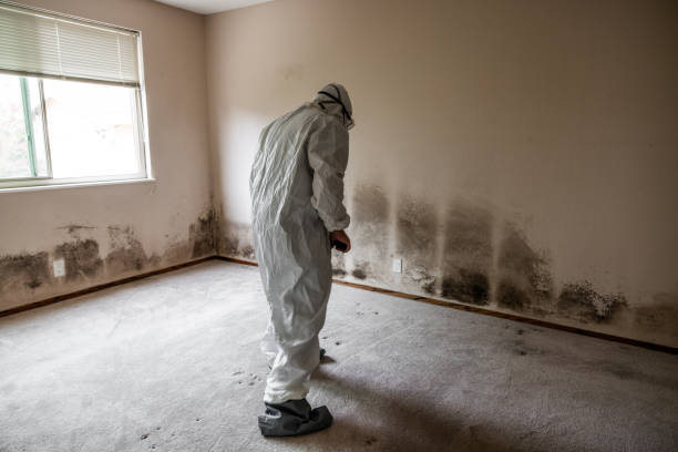 Best Industrial Mold Remediation  in Lake Hiawatha, NJ